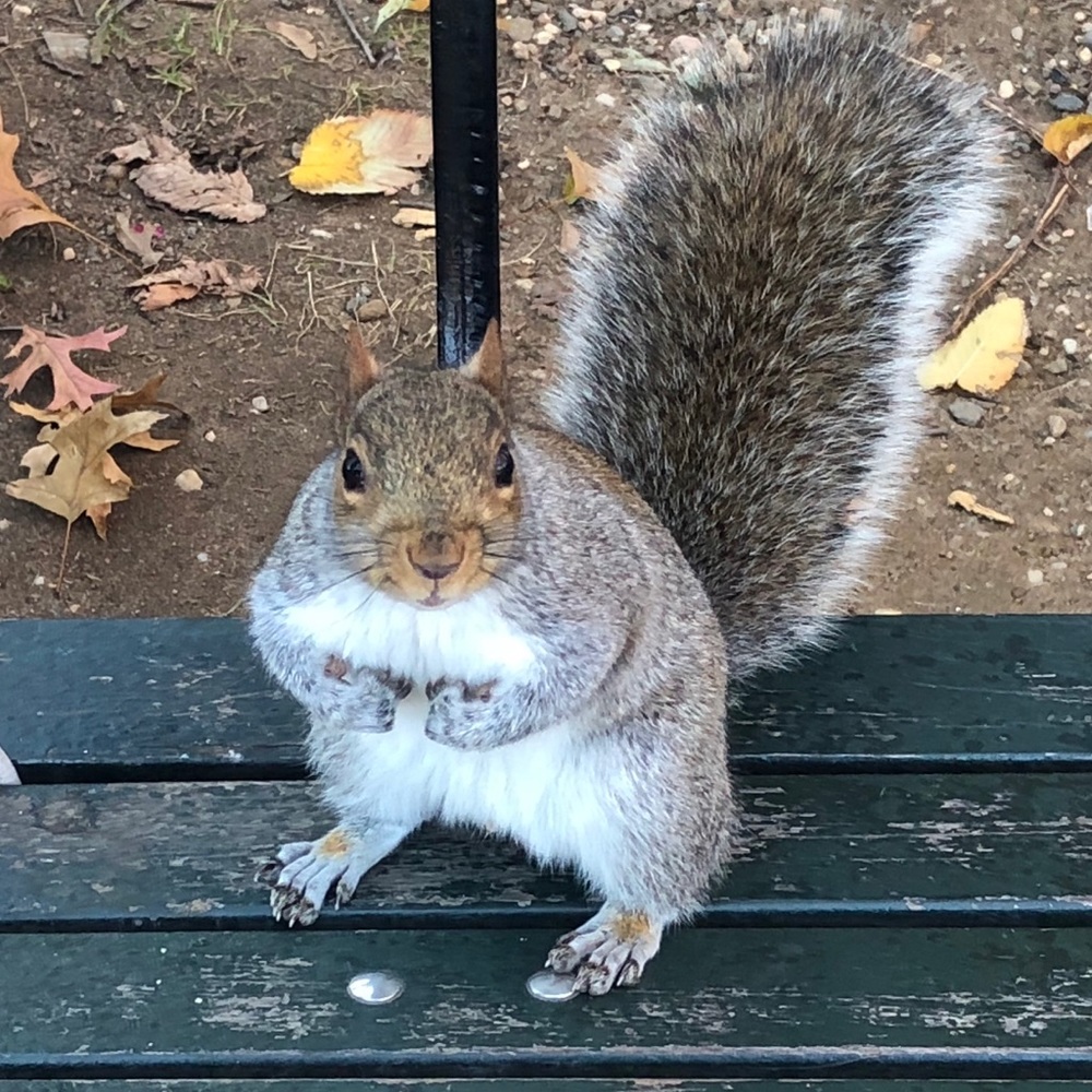 Meet your Posher, Tricia